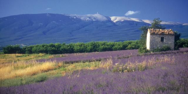 Il Mont Ventoux. Credito: Alain Hocquel / VPA