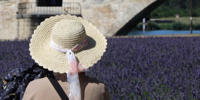 Une touriste devant le Pont d'Avignon (ou Pont Saint-Bénezet) - Crédit photo : France Olliver / Avignon Tourisme