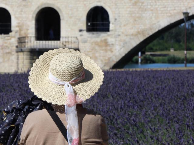 Une touriste devant le Pont d'Avignon (ou Pont Saint-Bénezet) - Crédit photo : France Olliver / Avignon Tourisme