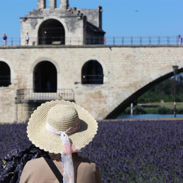 Eine Touristin vor der Pont d'Avignon (oder Pont Saint-Bénezet) - Fotokredit: France Olliver / Avignon Tourisme