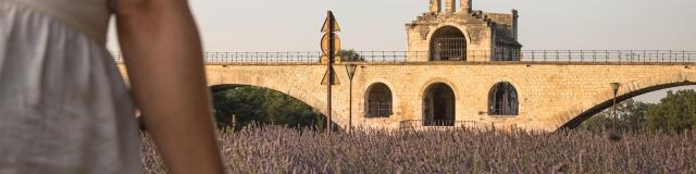 Jeune fille dans un champ de lavande devant le Pont d'Avignon - Crédit photo : Frédéric Dahm / Empreintes d'Ailleurs