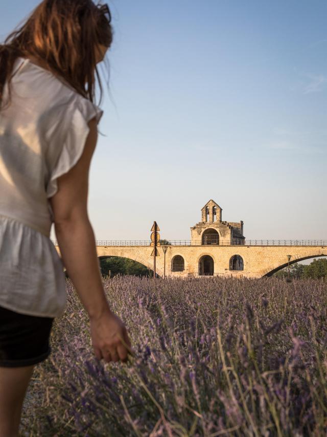 Ragazza in un campo di lavanda davanti al Pont d'Avignon - Foto: Frédéric Dahm / Empreintes d'Ailleurs