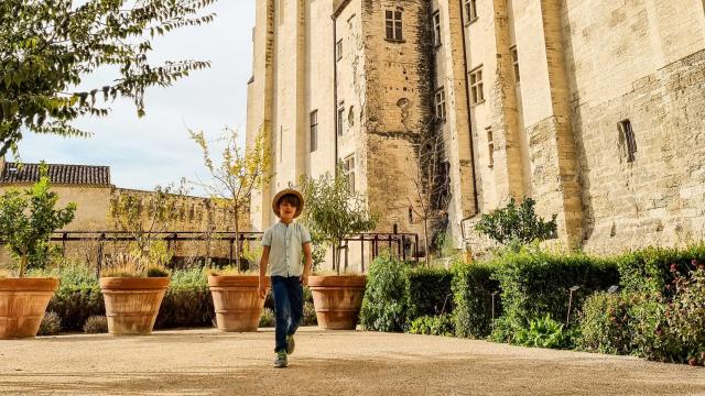 Les jardins pontificaux du Palais des Papes - Crédit photo : De Beaux Lents Demains