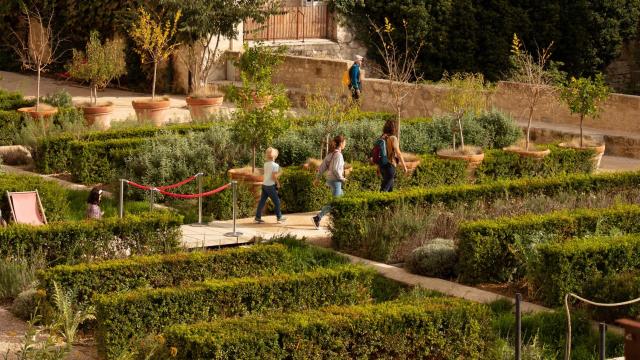 I giardini papali del Palazzo dei Papi - Foto: De Beaux Lents Demains