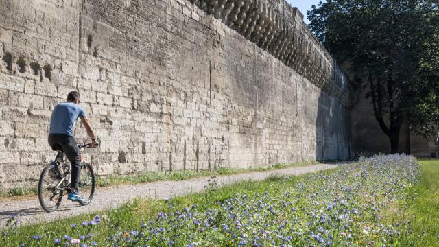 Balade à vélo le long des remparts - Crédit photo : Frédéric Dahm - Empreintes d'Ailleurs