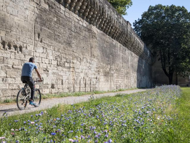 Balade à vélo le long des remparts - Crédit photo : Frédéric Dahm - Empreintes d'Ailleurs