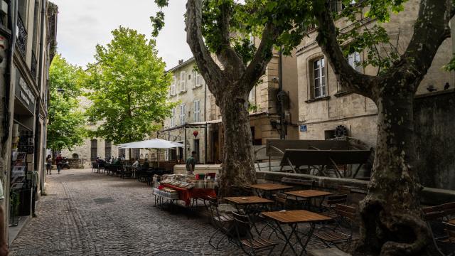 Balade dans la rue des Teinturiers à Avignon - Crédit photo : KOS-CREA