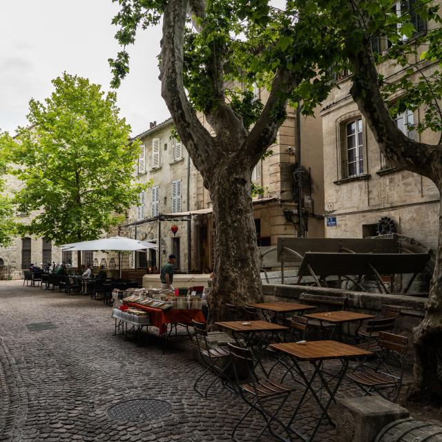 Balade dans la rue des Teinturiers à Avignon - Crédit photo : KOS-CREA