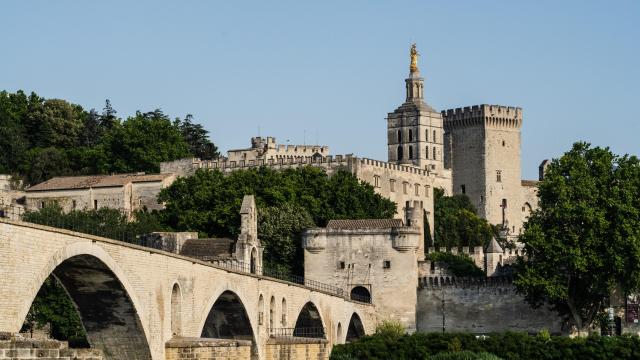 Le Palais des Papes et le Pont Saint Bénezet (ou Pont d'Avignon) depuis l'île de la Barthelasse - Crédit photo : Kos-Crea