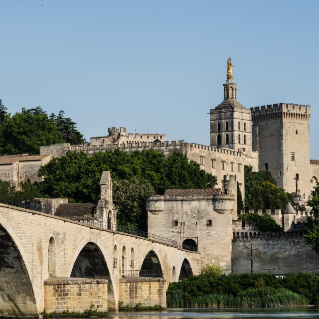 Der Papstpalast und die Brücke Pont Saint Bénezet (oder Pont d'Avignon) von der Barthelasse-Insel aus - Bildnachweis: Kos-Crea