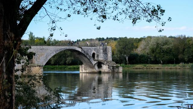 Die Brücke von Avignon (oder Pont Saint-Bénezet) vom Ufer des Boulevard de la Ligne aus - Fotokredit: Olivier Tresson / Avignon Tourisme