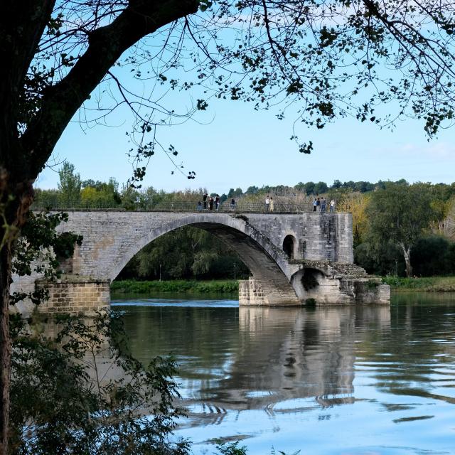 Le Pont d'Avignon (ou Pont Saint-Bénezet) depuis les berges du boulevard de la Ligne - Crédit photo : Olivier Tresson / Avignon Tourisme