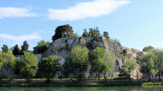 Le rocher des Doms depuis l'île de la Barthelasse - Crédit photo : France Olliver / Avignon Tourisme