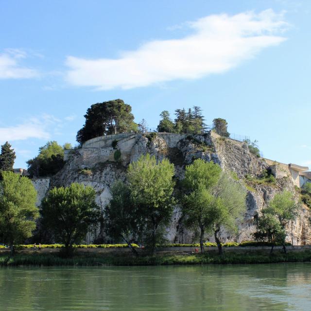 Il Rocher des Doms dall'Ile de la Barthelasse - Foto: France Olliver / Avignon Tourisme