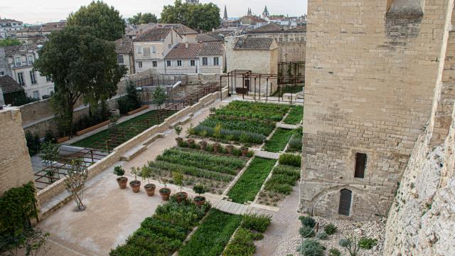 Les jardins du Palais des Papes vu d'en haut - Crédit photo : Franck Mariotti / Avignon Tourisme