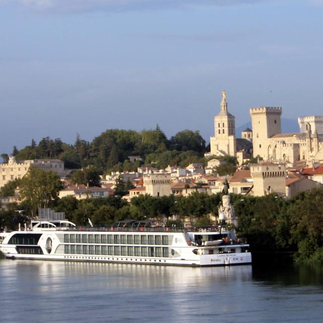 Un battello da crociera sul Rodano - Foto: France Olliver / Avignon Tourisme