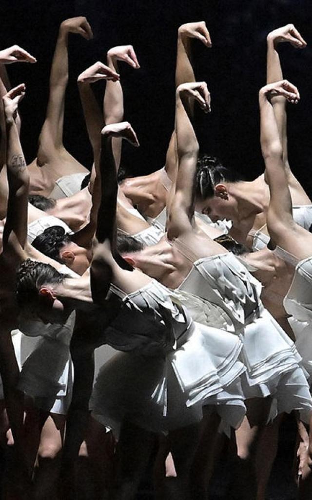 Swan Lake during Vaison Danses - Photo credit: JC Carbonne