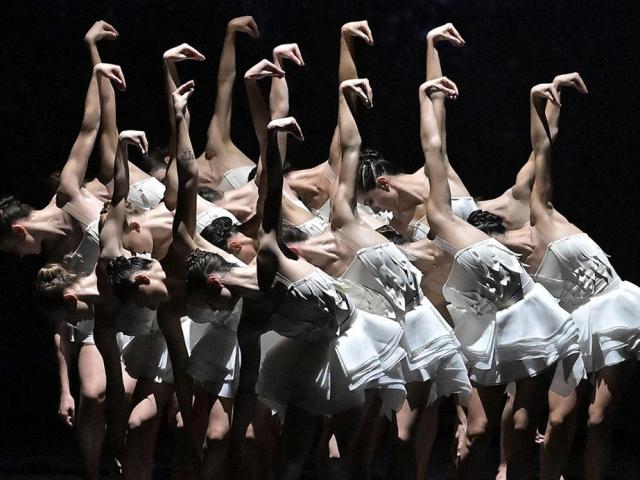 Le Lac des Cygnes durant Vaison Danses - Crédit photo : JC Carbonne