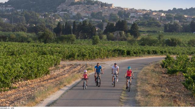 Vélo sur le tracé de la Viarhona à Châteauneuf du Pape - Crédit photo : Alain Hocquel / Vaucluse Provence Activité