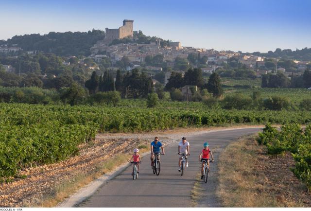 Vélo sur le tracé de la Viarhona à Châteauneuf du Pape - Crédit photo : Alain Hocquel / Vaucluse Provence Activité