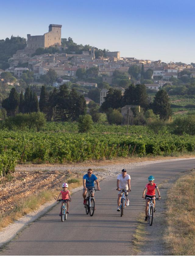 Vélo sur le tracé de la Viarhona à Châteauneuf du Pape - Crédit photo : Alain Hocquel / Vaucluse Provence Activité