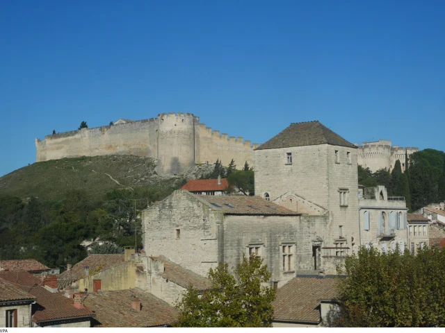 Vue du Fort Saint-André depuis Villeneuve Lez Avignon - Crédit photo : Ripert M / Vaucluse Provence Activité