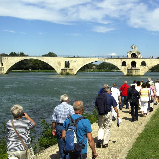 Visite guidée pour groupe devant le Pont d'Avignon