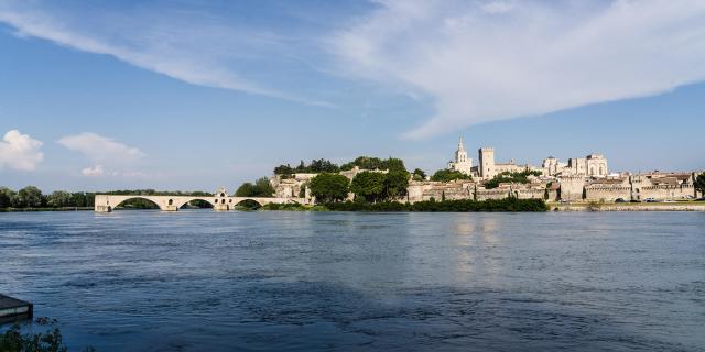 Panorama du Palais des Papes et Pont St Bénézet