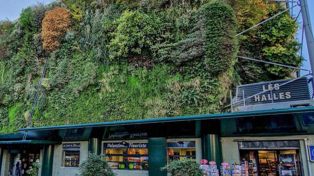 Flower wall at Les Halles. Credit: JAudigier