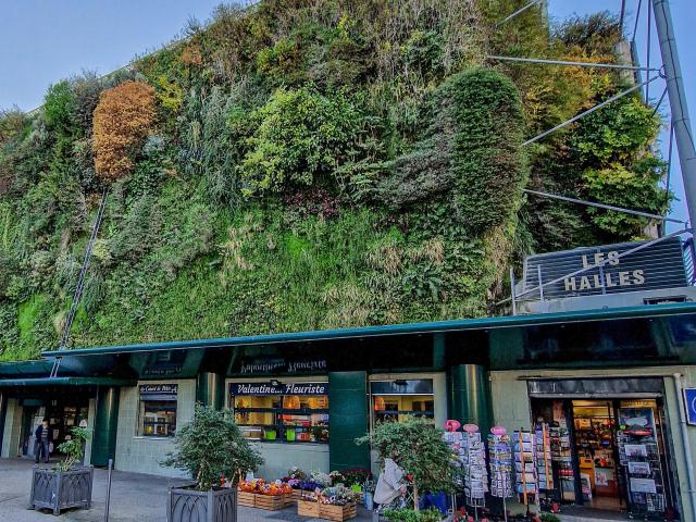 Flower wall at Les Halles. Credit: JAudigier