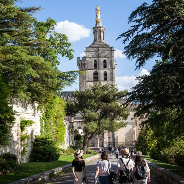 Notre Dame des Doms from the Rocher des Doms rise