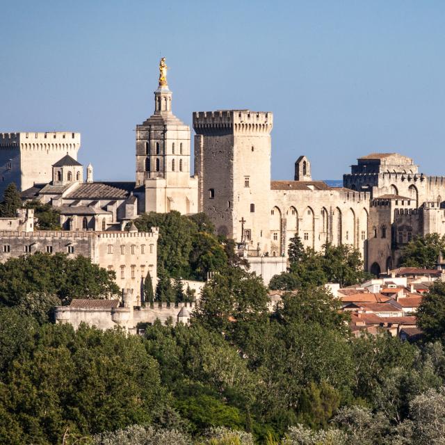 Vue d'Avignon puis le Gard