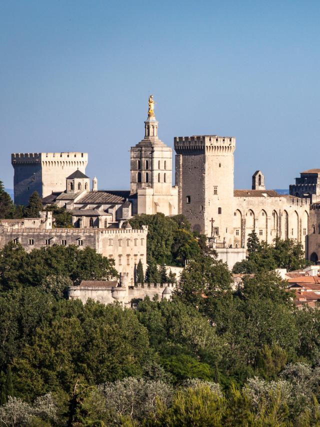 Vue d'Avignon puis le Gard