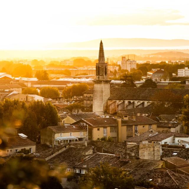 Stadt Avignon vom Rocher des Doms aus bei Sonnenuntergang