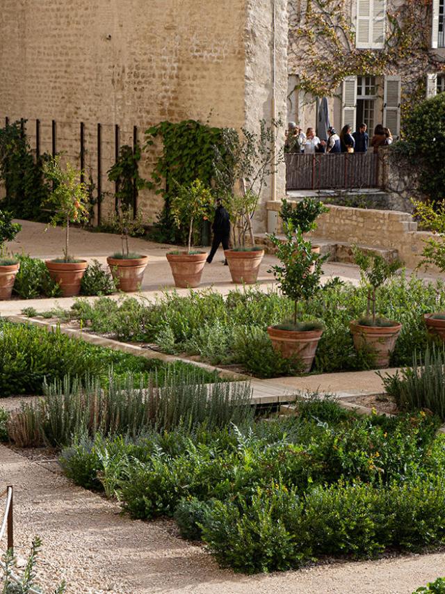 Ruche pédagogique des jardins du Palais