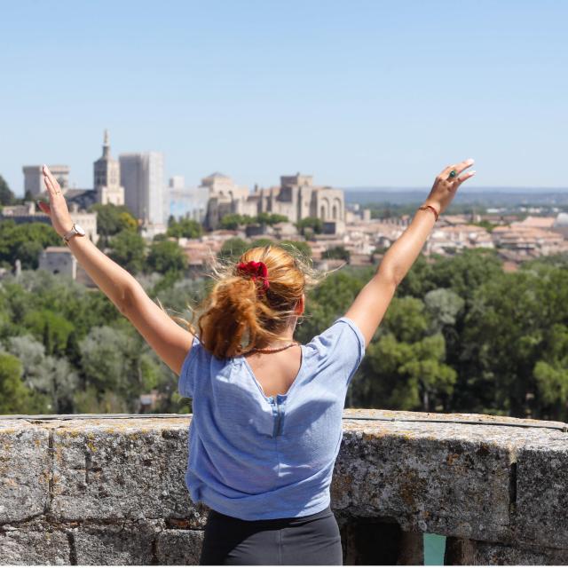 Vue sur Avignon depuis Villeneuve Lez Avignon. Crédit : Alain Hocquel / VPA