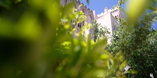 Palais des Papes depuis les jardins du Palais des Papes. Crédit : Olivier Tresson