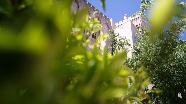 Palais des Papes depuis les jardins du Palais des Papes. Crédit : Olivier Tresson