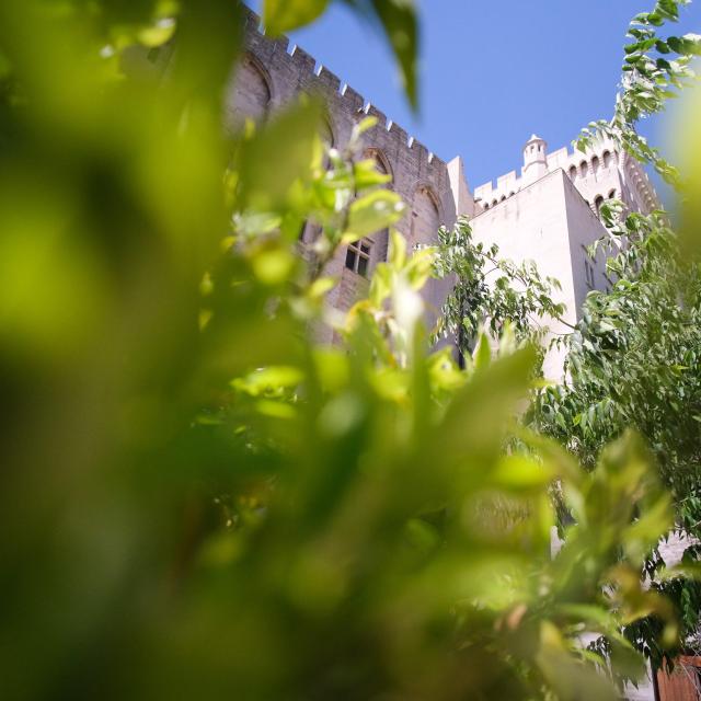 Il Palazzo dei Papi dai giardini del Palazzo dei Papi. Credito: Olivier Tresson