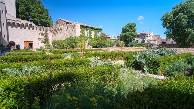 The Papal Gardens