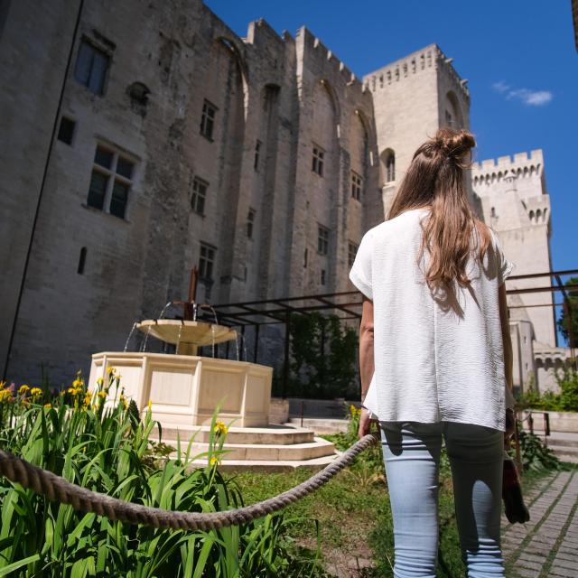 Palais des Papes depuis les jardins du Palais des Papes. Crédit : Olivier Tresson