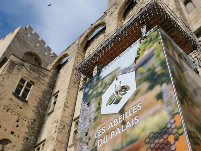 La ruche pédagogique des jardins du Palais des Papes. Crédit : Olivier Tresson