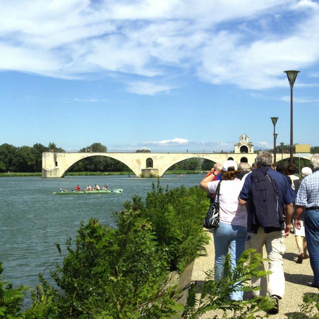 Groupe devant le pont d'Avignon