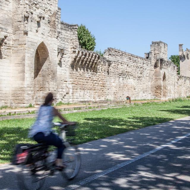 Fahrradtour entlang der Stadtmauern