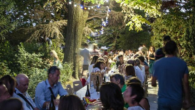 Ban des Vendanges