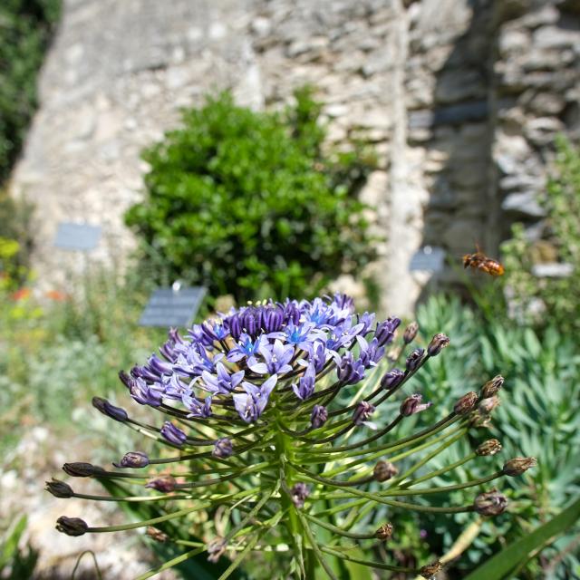 Die Gärten der Abtei Saint-André in Villeneuve-lez-Avignon