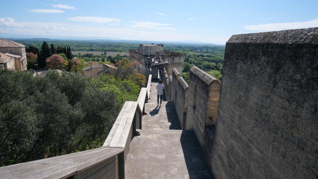 Les Fort Saint-André de Villeneuve-lez-Avignon