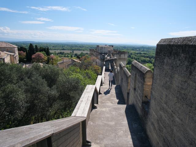 Les Fort Saint-André de Villeneuve-lez-Avignon