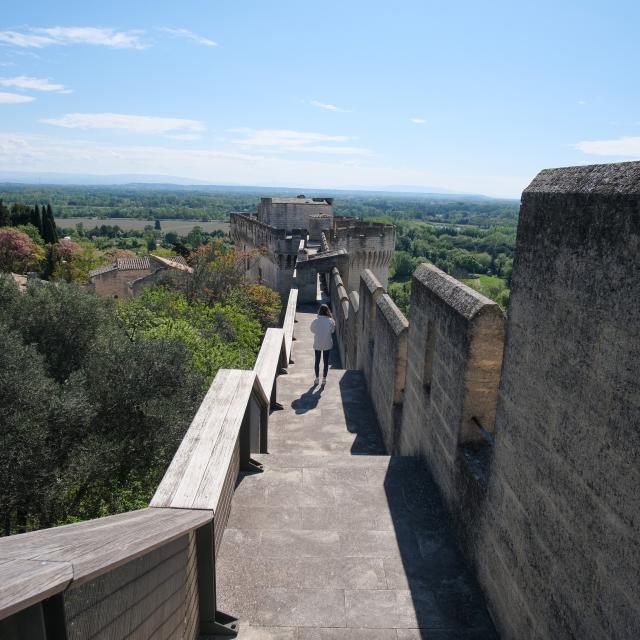 El Fuerte Saint-André en Villeneuve-lez-Avignon