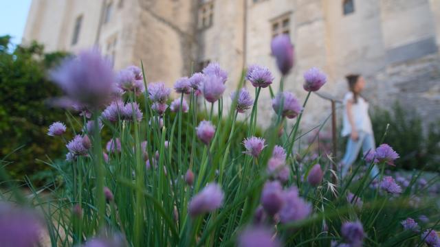 Les jardins pontificaux